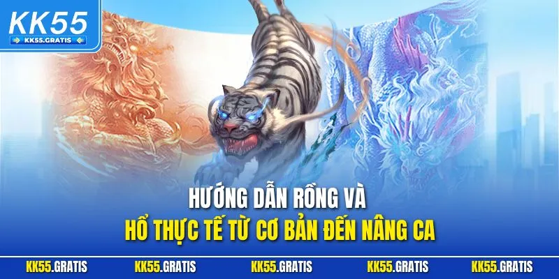 Hướng dẫn Rồng và Hổ thực tế từ cơ bản đến nâng cao