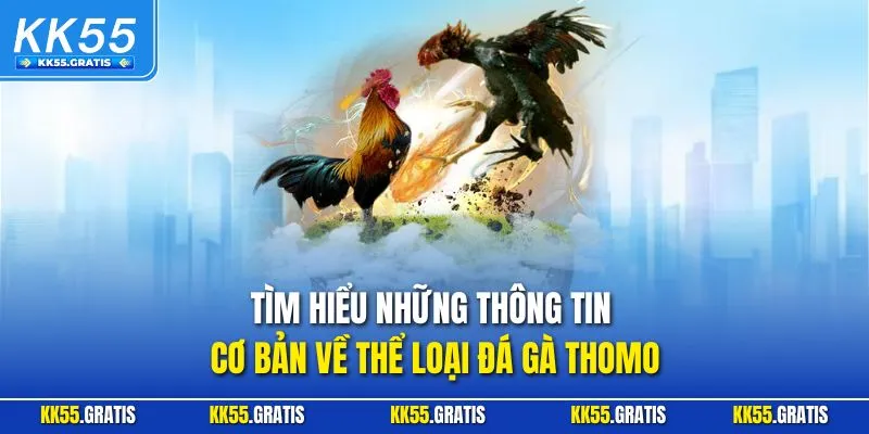 Tìm hiểu những thông tin cơ bản về thể loại đá gà Thomo